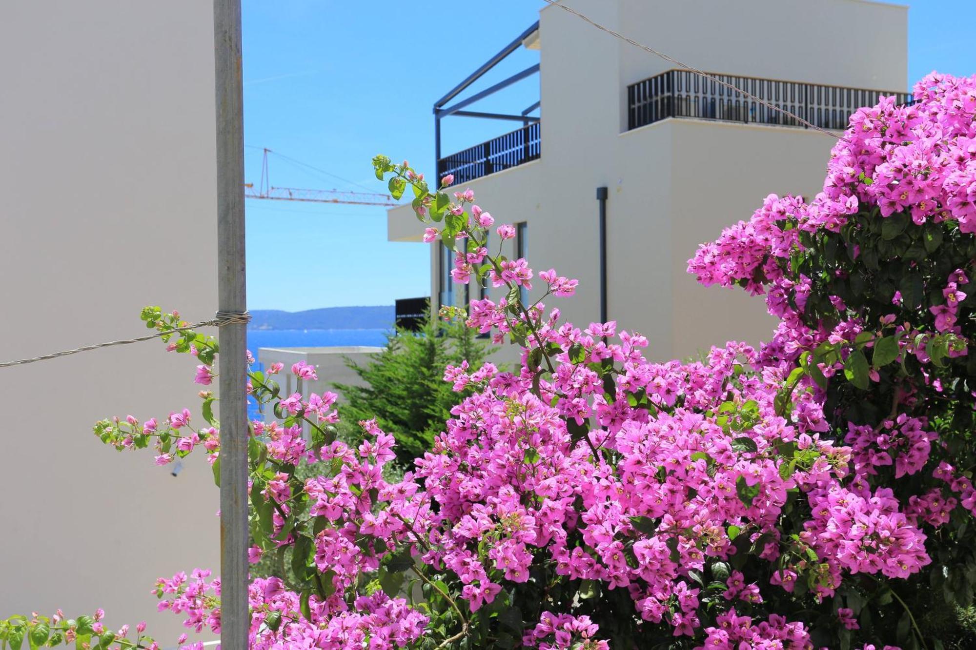 Family Friendly Apartments With A Swimming Pool Businci, Ciovo - 11232 Trogir Kültér fotó
